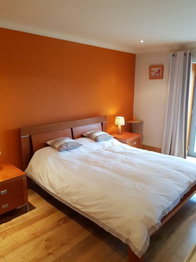 The Courtyard Apartments !!!! 基拉尼 外观 照片